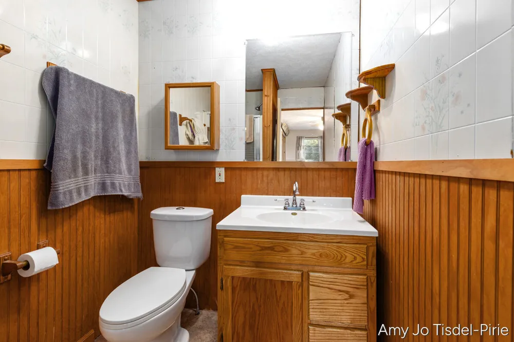 6643 S Wood Road Bushnell Township, MI 48884