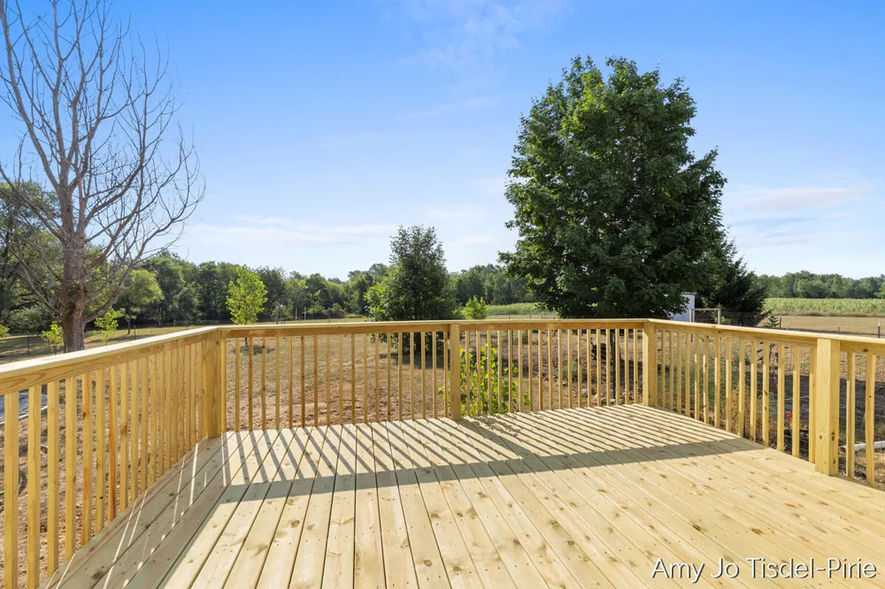 6643 S Wood Road Bushnell Township, MI 48884