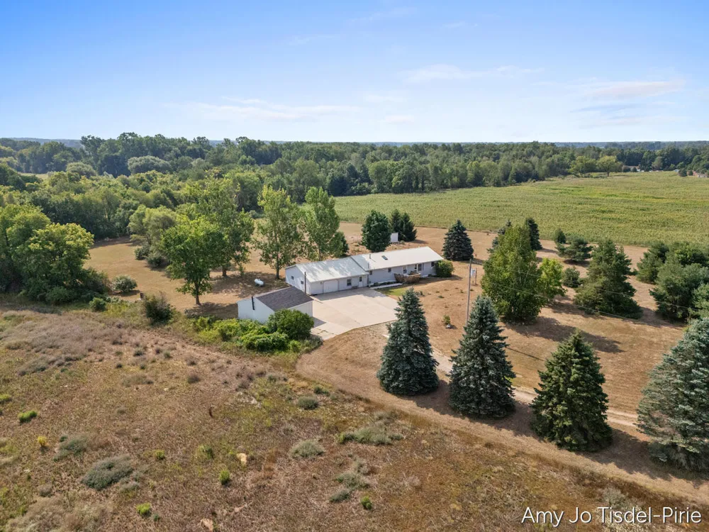6643 S Wood Road Bushnell Township, MI 48884