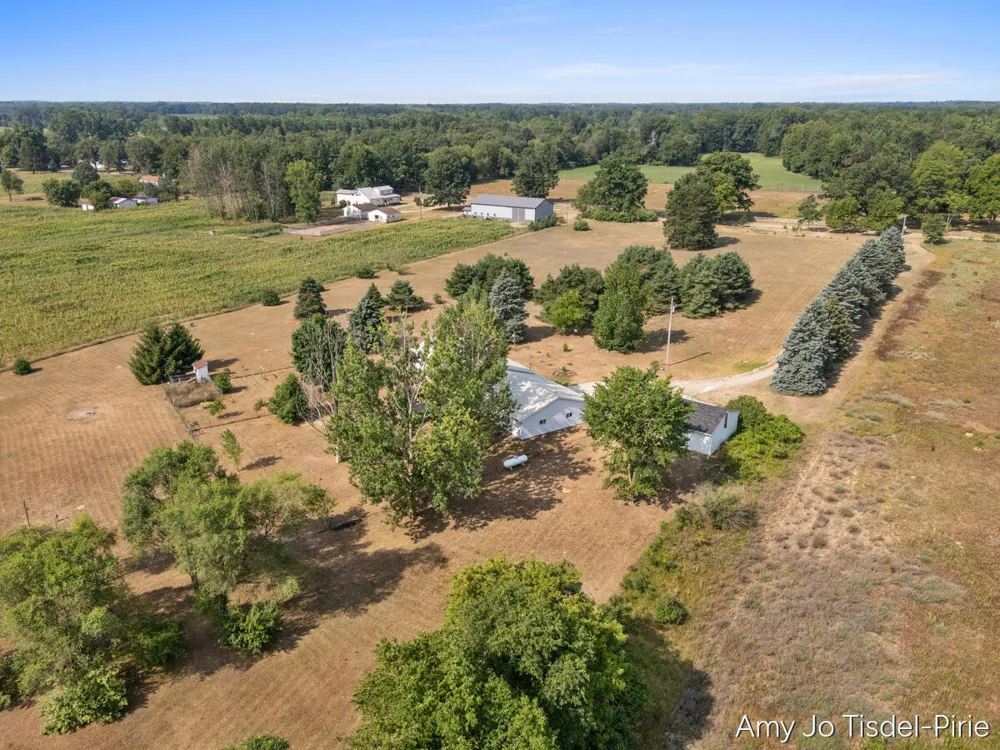 6643 S Wood Road Bushnell Township, MI 48884