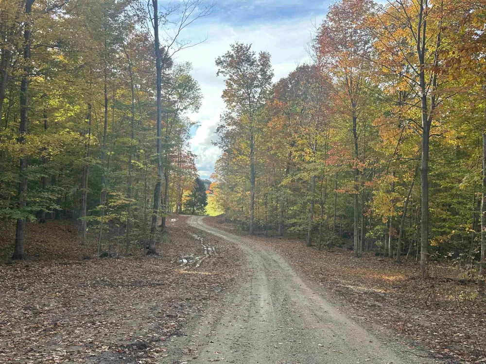11605 S Tower Kasson Township, MI 49664