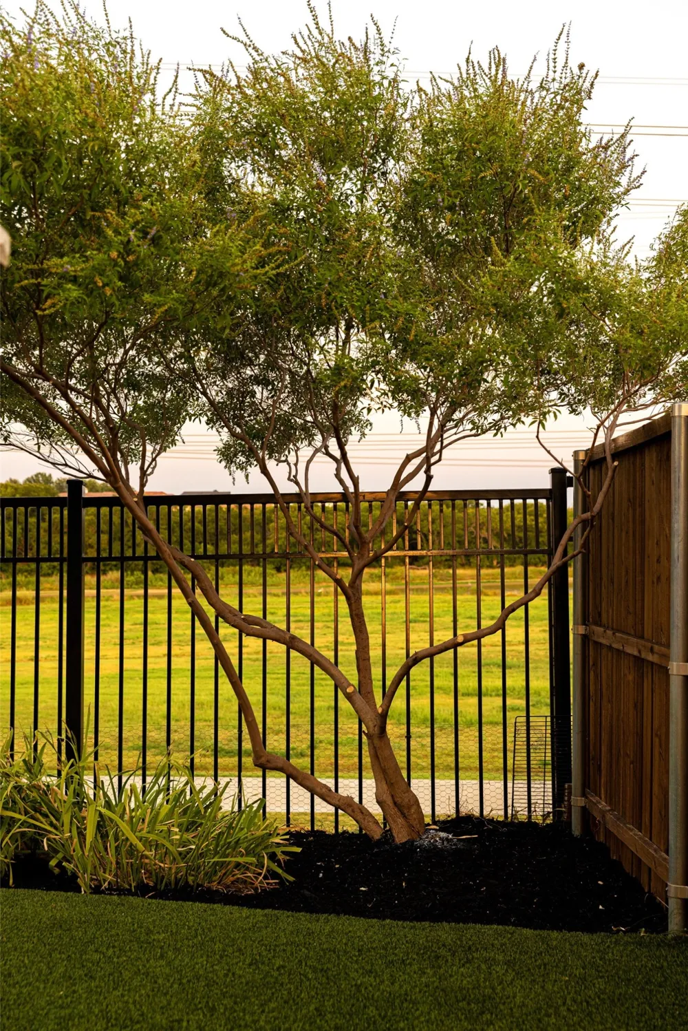 4544 Oriel Lane Carrollton, TX 75010