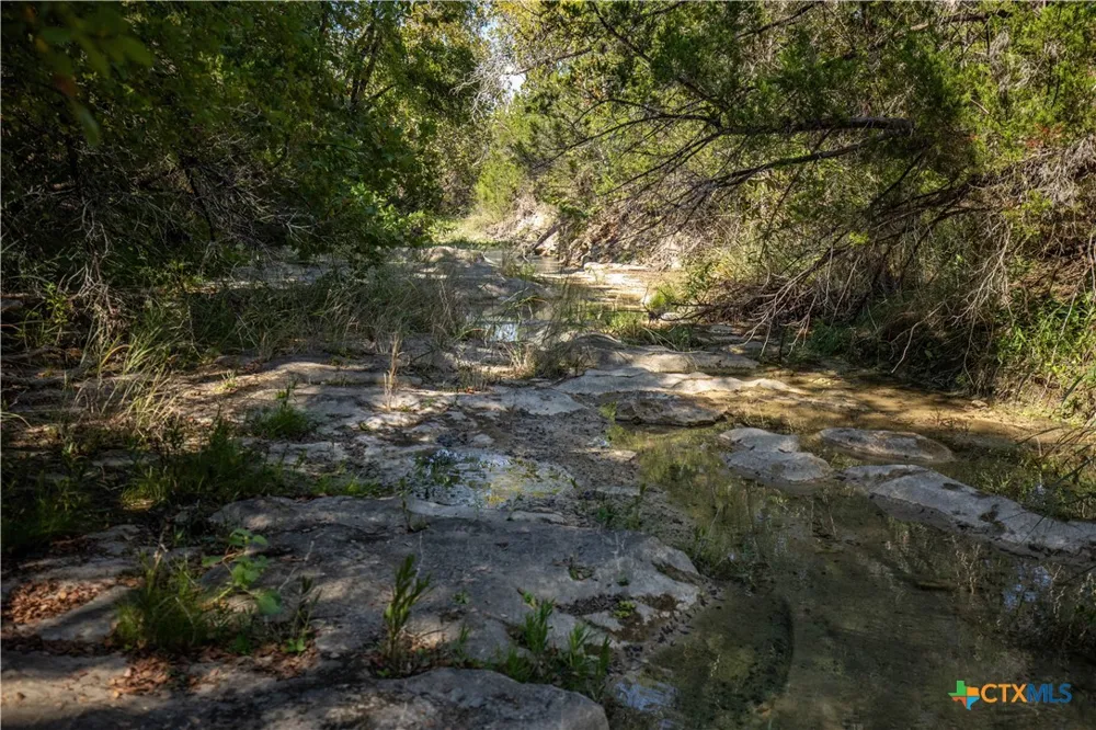 Wilson Branch Road Killeen, TX 76542