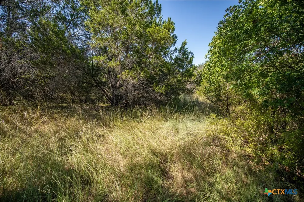 Wilson Branch Road Killeen, TX 76542