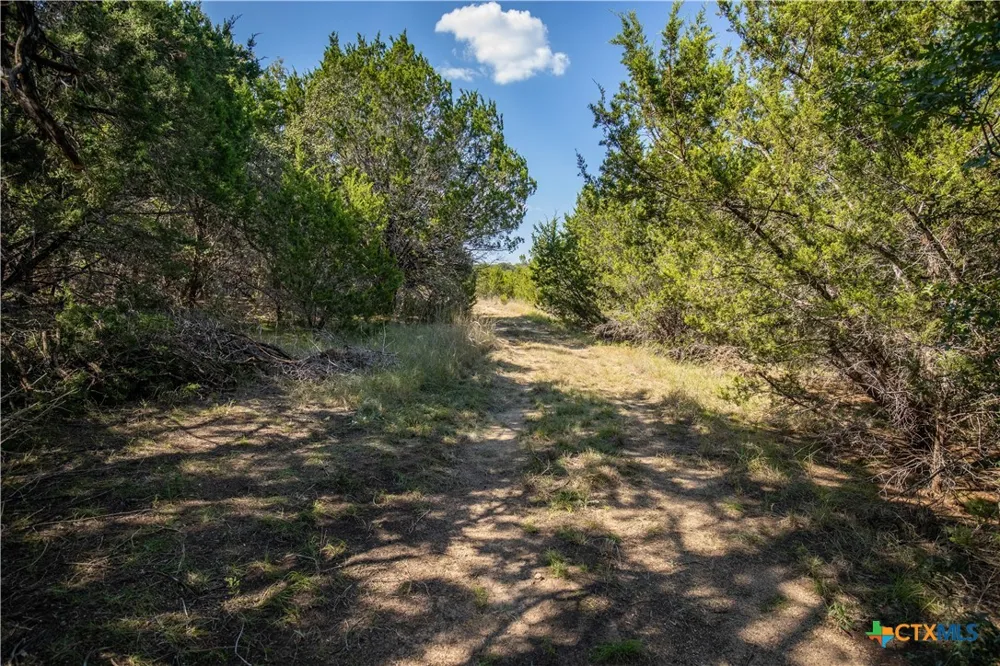 Wilson Branch Road Killeen, TX 76542