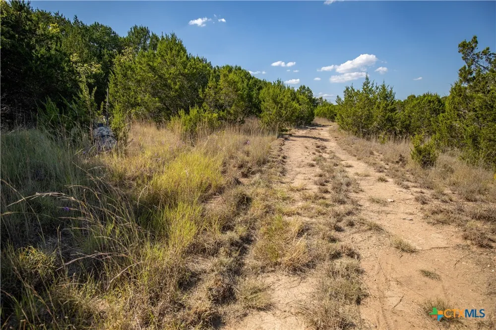 Wilson Branch Road Killeen, TX 76542
