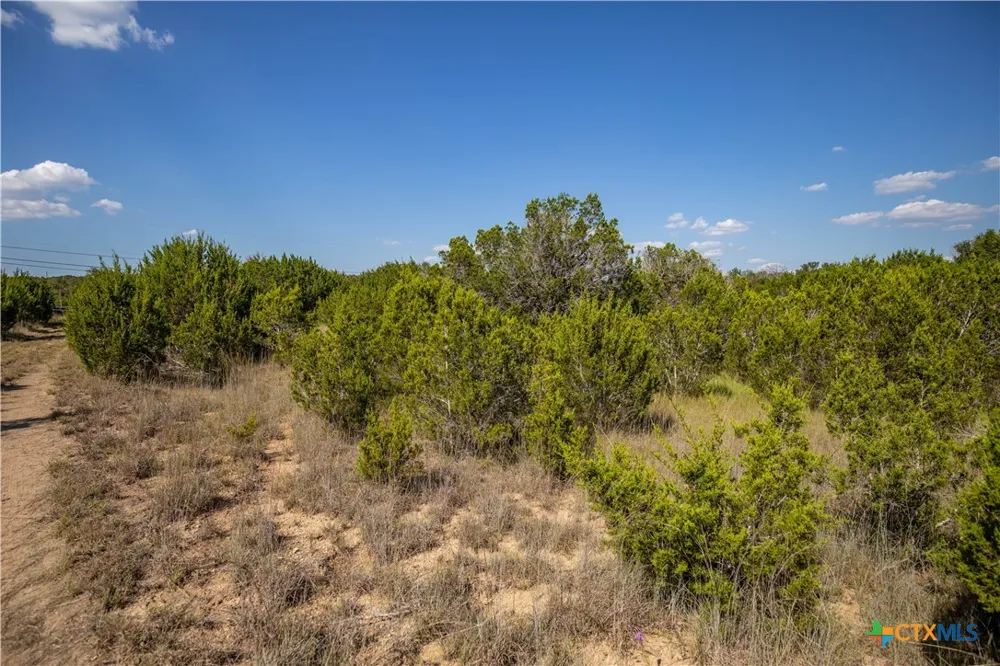 Wilson Branch Road Killeen, TX 76542