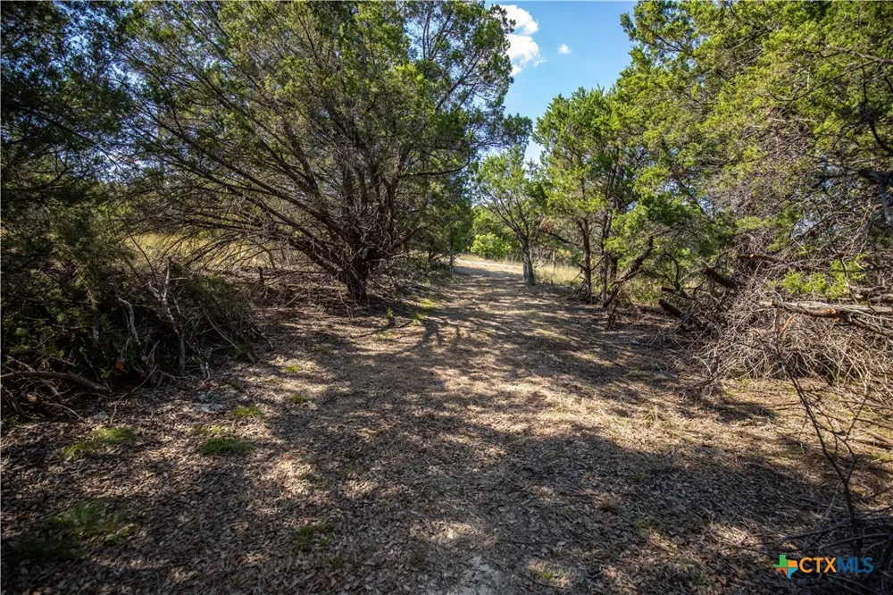 Wilson Branch Road Killeen, TX 76542