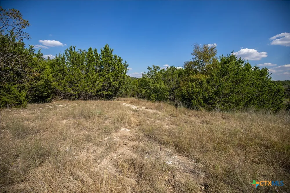 Wilson Branch Road Killeen, TX 76542