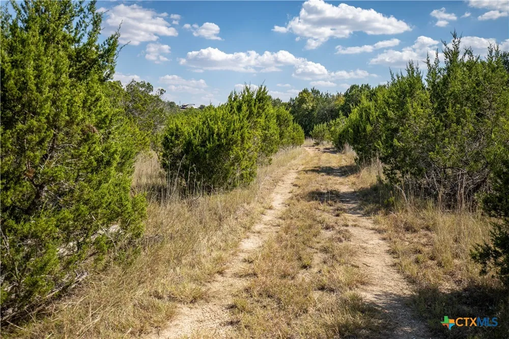 Wilson Branch Road Killeen, TX 76542