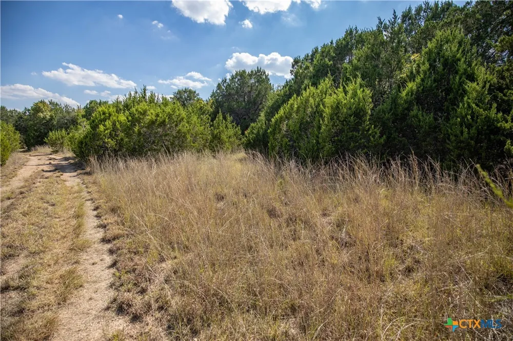 Wilson Branch Road Killeen, TX 76542