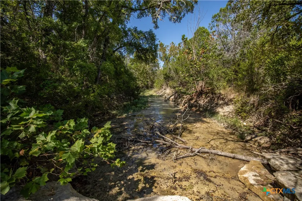 Wilson Branch Road Killeen, TX 76542