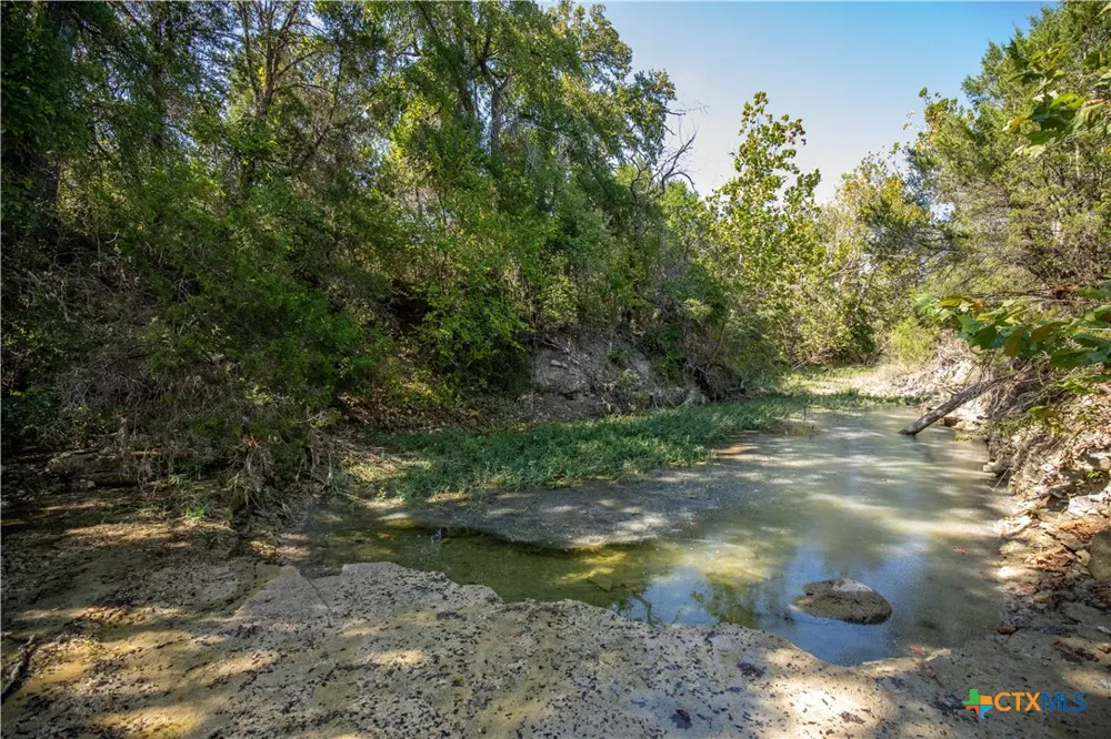 Wilson Branch Road Killeen, TX 76542