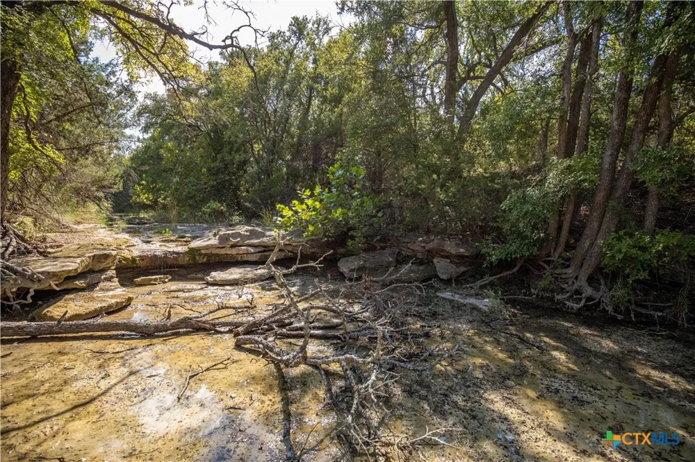 Wilson Branch Road Killeen, TX 76542