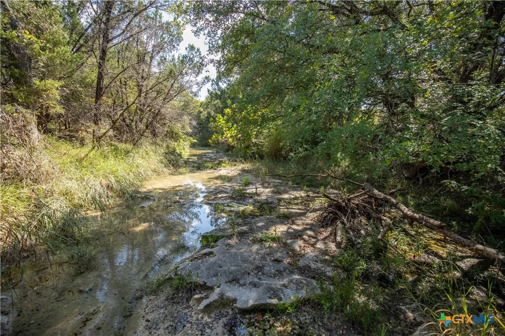 Wilson Branch Road Killeen, TX 76542