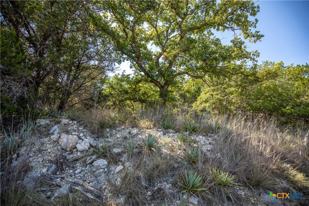Wilson Branch Road Killeen, TX 76542