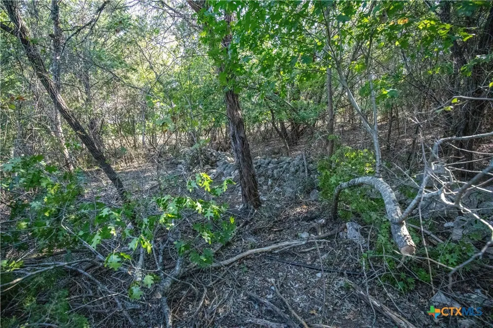 Wilson Branch Road Killeen, TX 76542