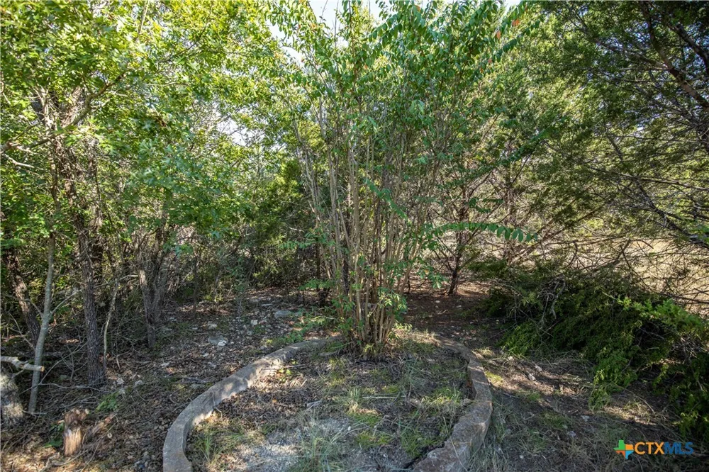Wilson Branch Road Killeen, TX 76542
