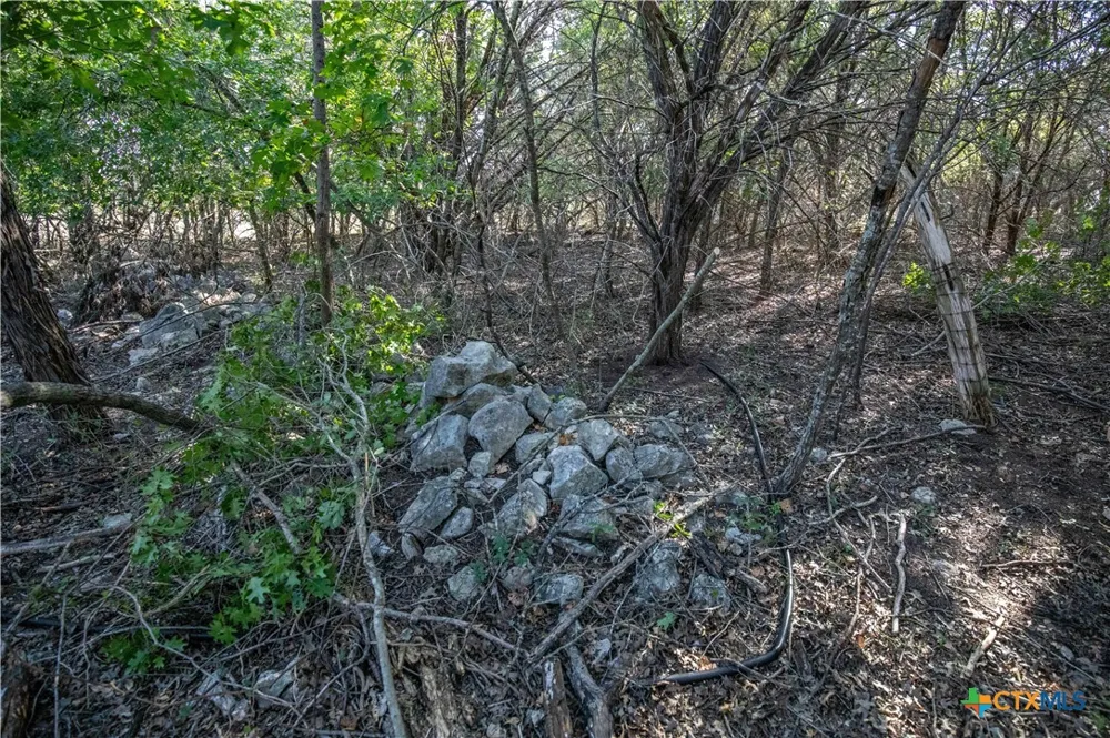 Wilson Branch Road Killeen, TX 76542
