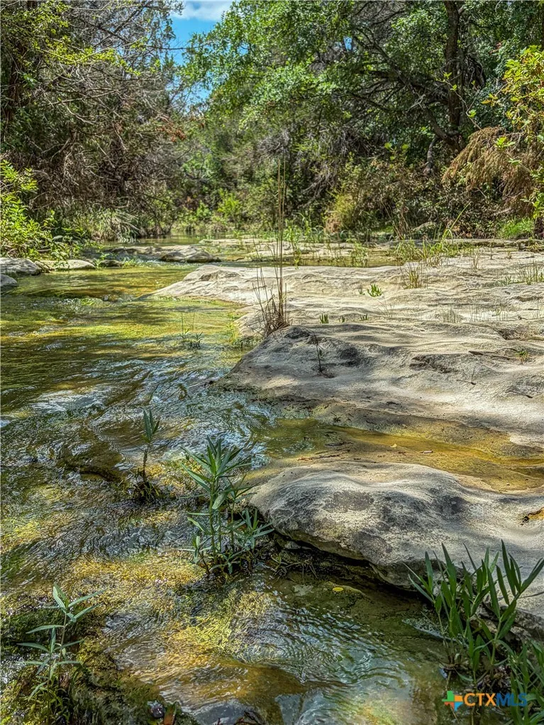 Wilson Branch Road Killeen, TX 76542