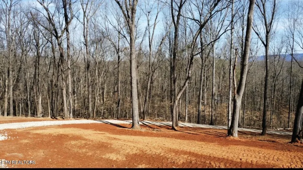 969 County Rd Delano, TN 37325