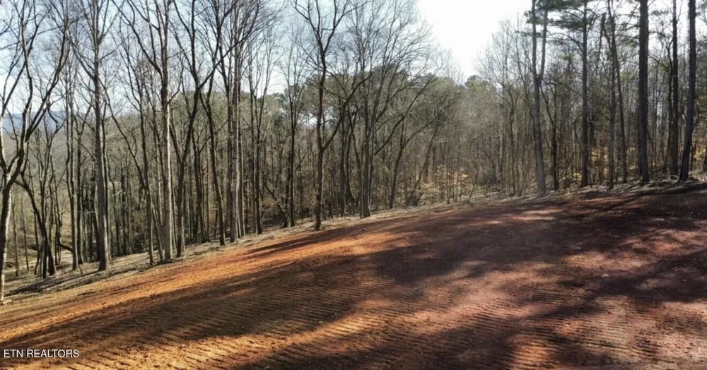 969 County Rd Delano, TN 37325