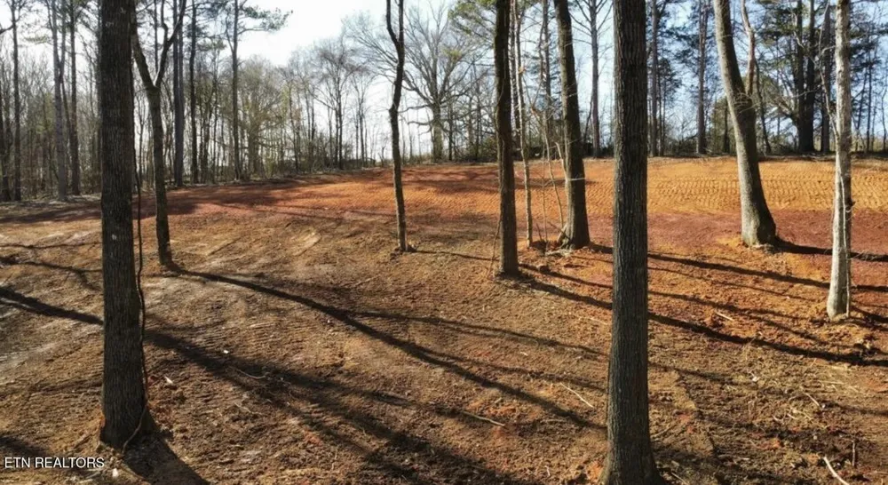 969 County Rd Delano, TN 37325
