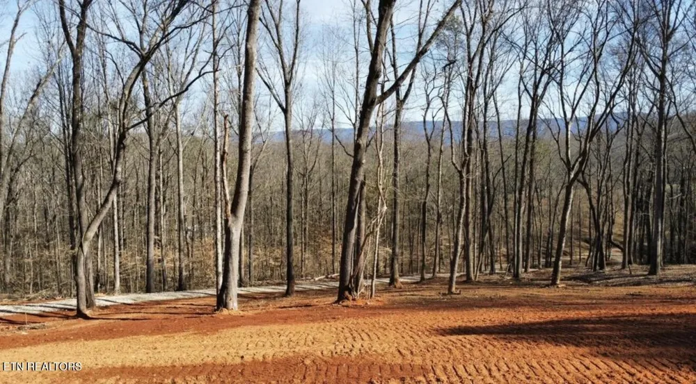 969 County Rd Delano, TN 37325