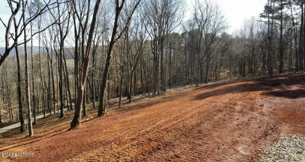 969 County Rd Delano, TN 37325