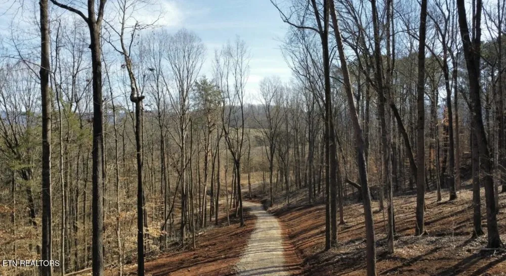 969 County Rd Delano, TN 37325