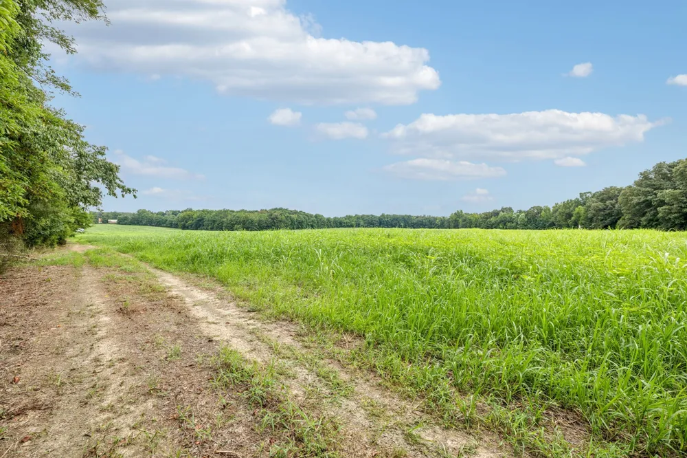 0 Walter Barnes Ln Manchester, TN 37355