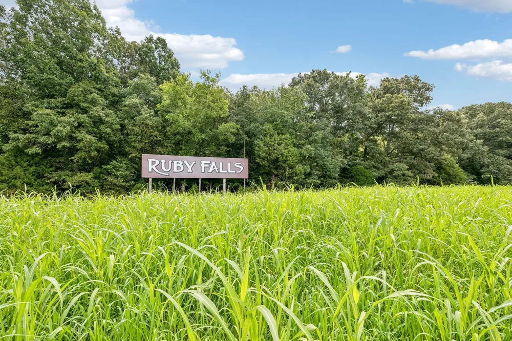 0 Walter Barnes Ln Manchester, TN 37355