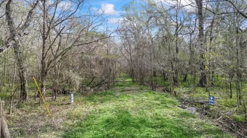 County Road 2601 North Tx