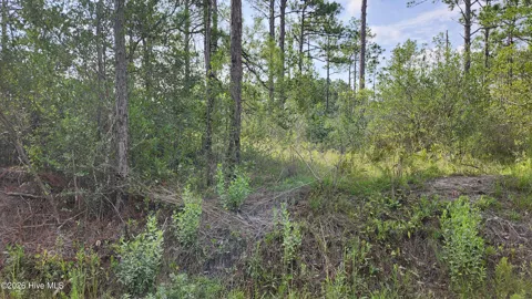 Lot 452 Queens Road