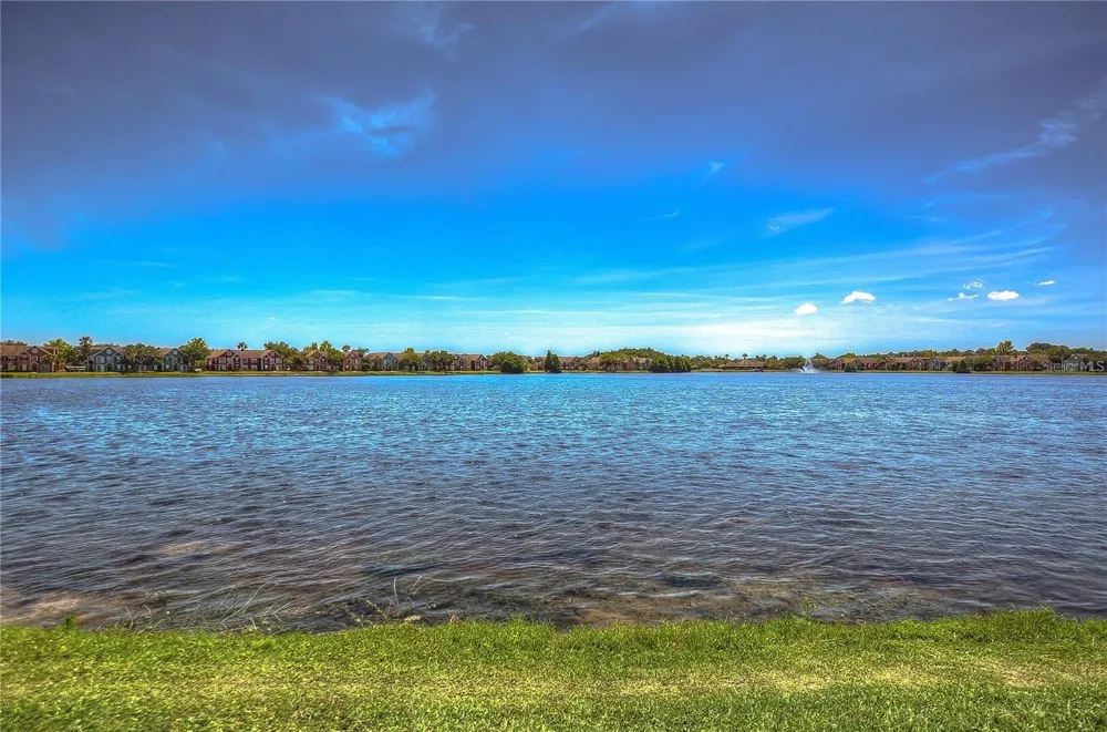 9034 LAKE CHASE ISLAND WAY #9034 Tampa, FL 33626