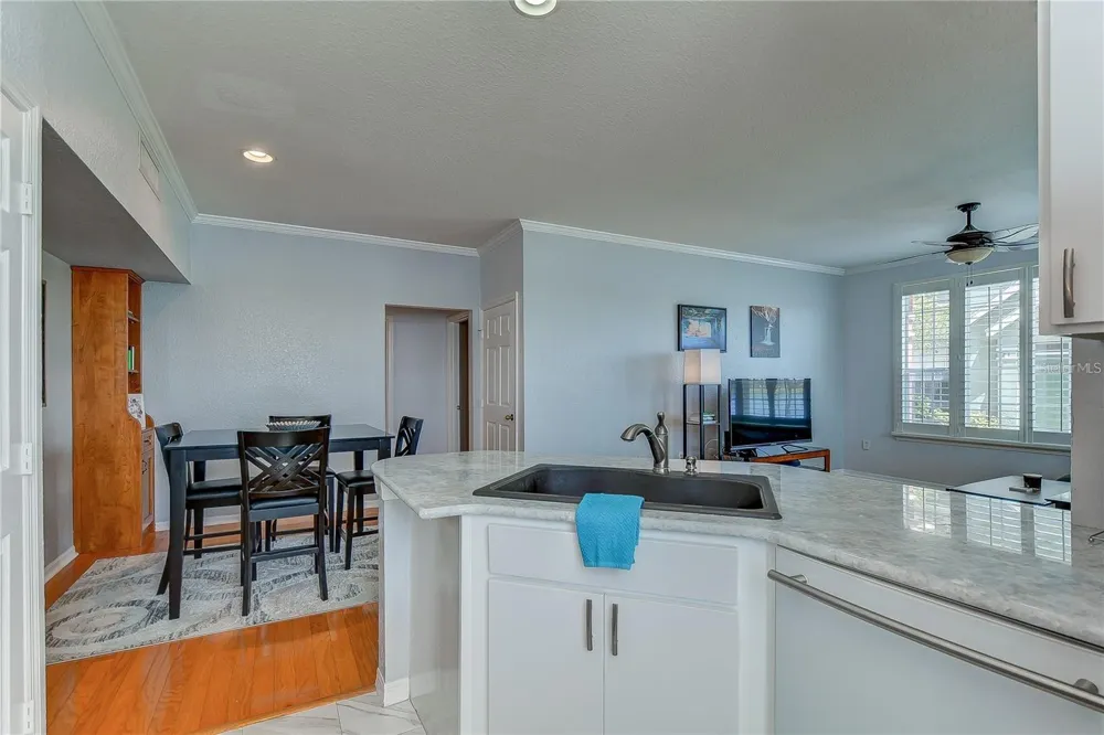 9034 LAKE CHASE ISLAND WAY #9034 Tampa, FL 33626