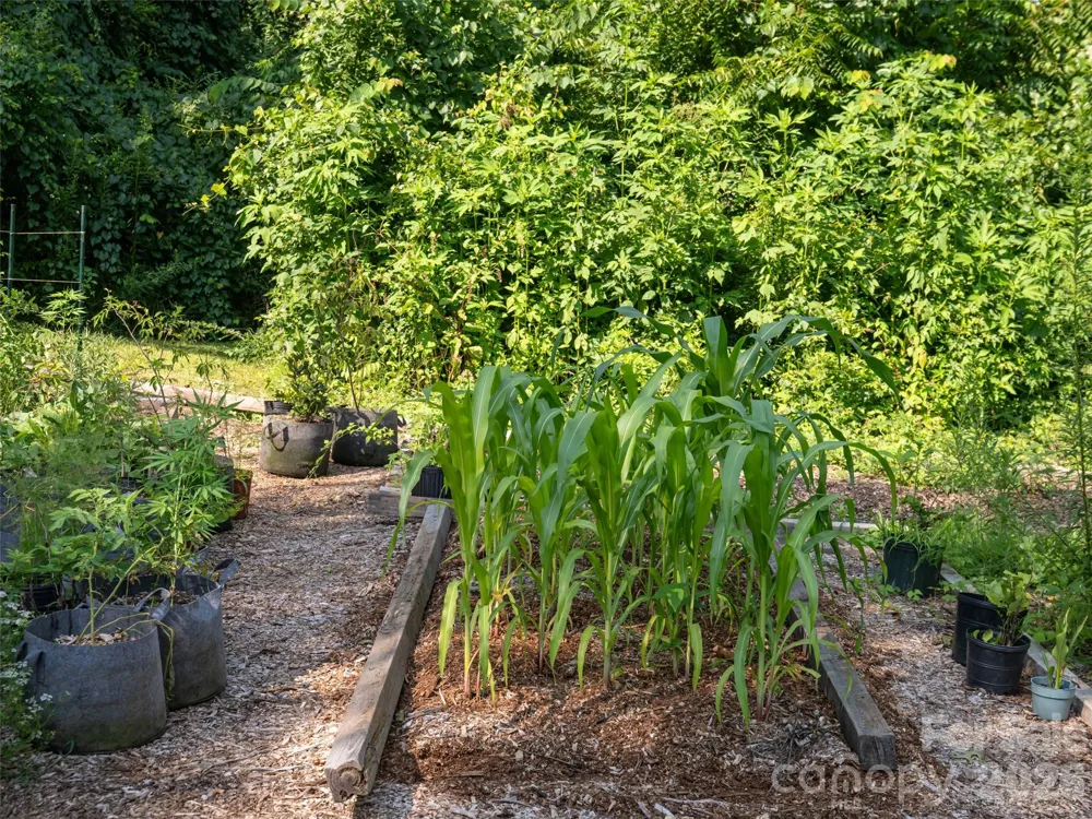61 Sherwood Forest Drive Arden, NC 28704