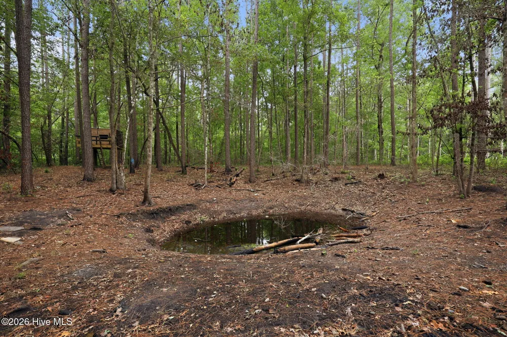 407 Rustic Court Pollocksville, NC 28573