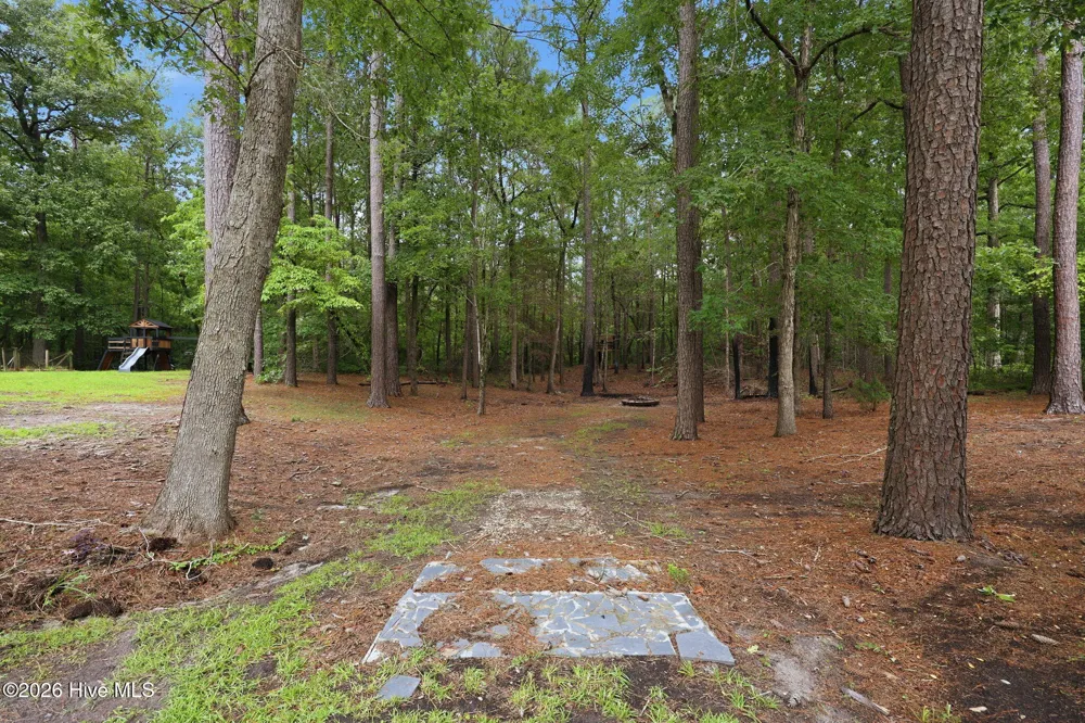 407 Rustic Court Pollocksville, NC 28573
