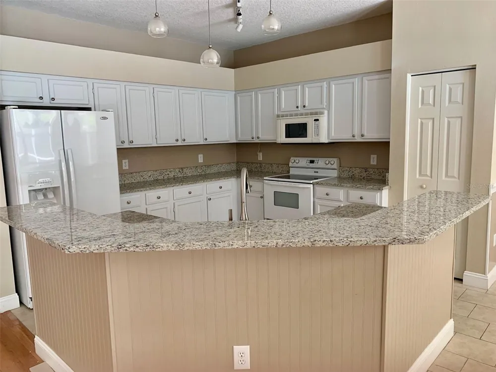13024 ROYAL GEORGE AVENUE Odessa, FL 33556