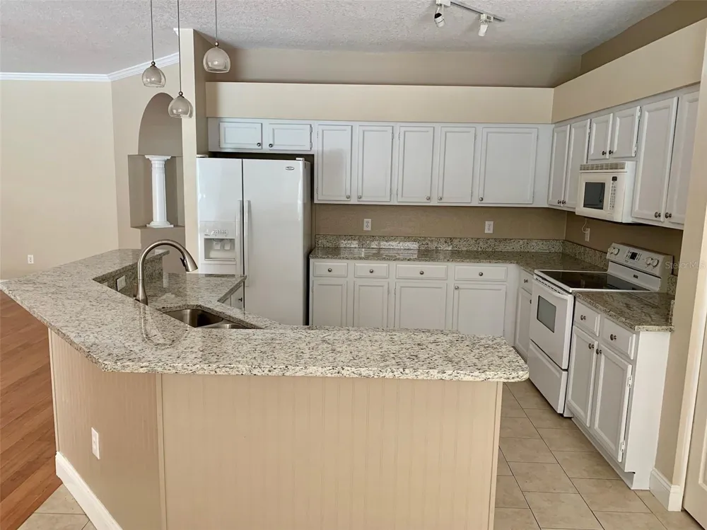 13024 ROYAL GEORGE AVENUE Odessa, FL 33556