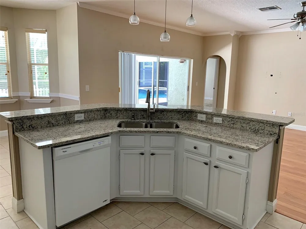 13024 ROYAL GEORGE AVENUE Odessa, FL 33556