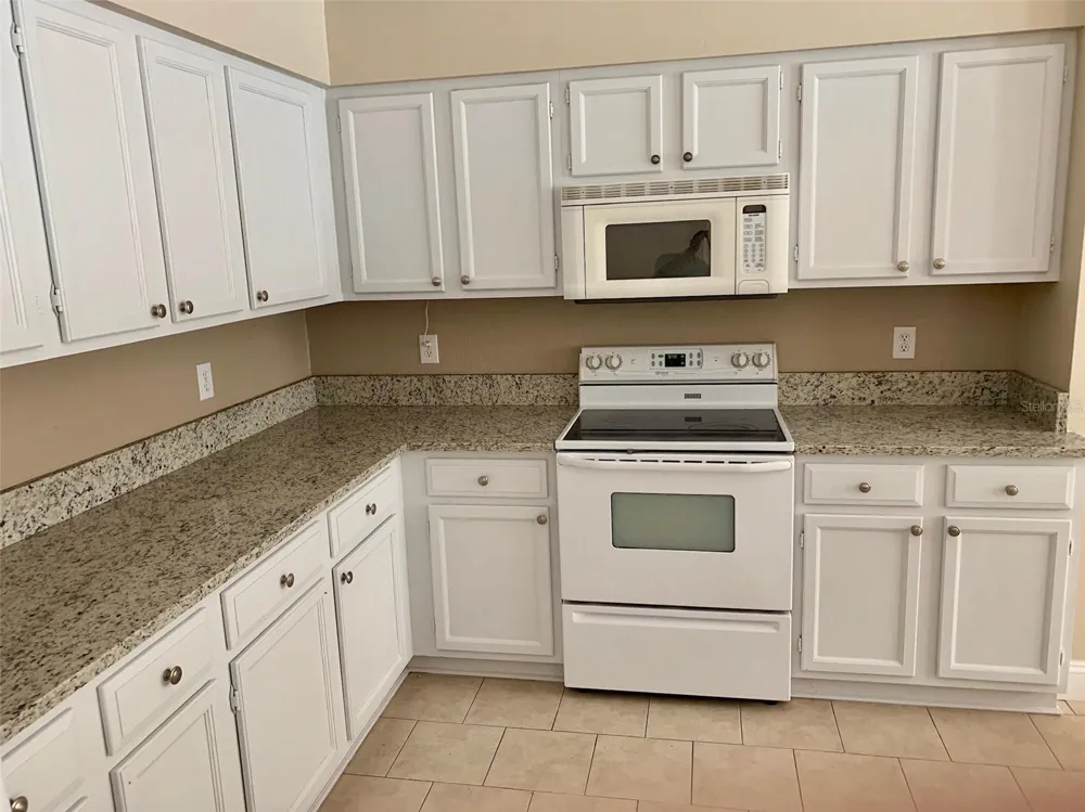 13024 ROYAL GEORGE AVENUE Odessa, FL 33556