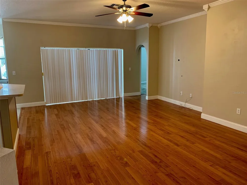 13024 ROYAL GEORGE AVENUE Odessa, FL 33556