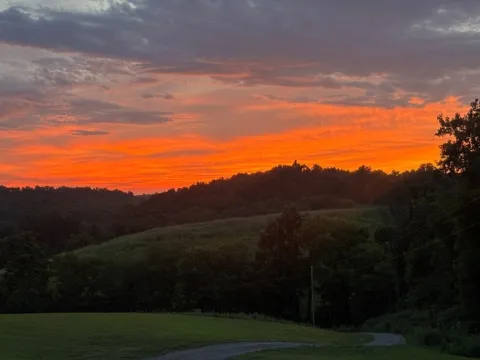 557 Ward Hollow Road