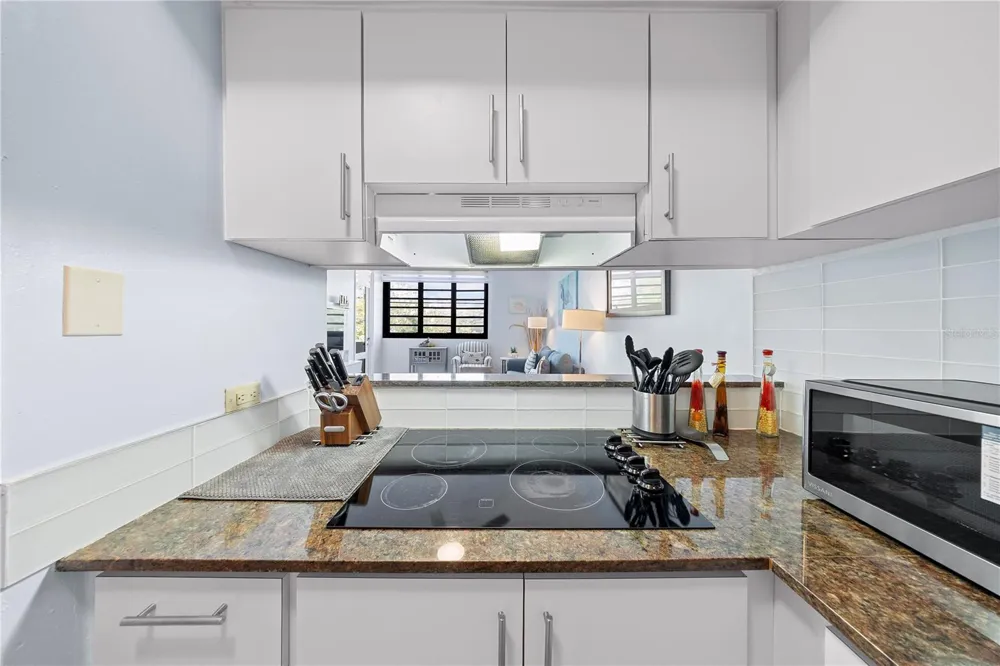 DR BEACH VILLAGE #119 Humacao, PR 00791