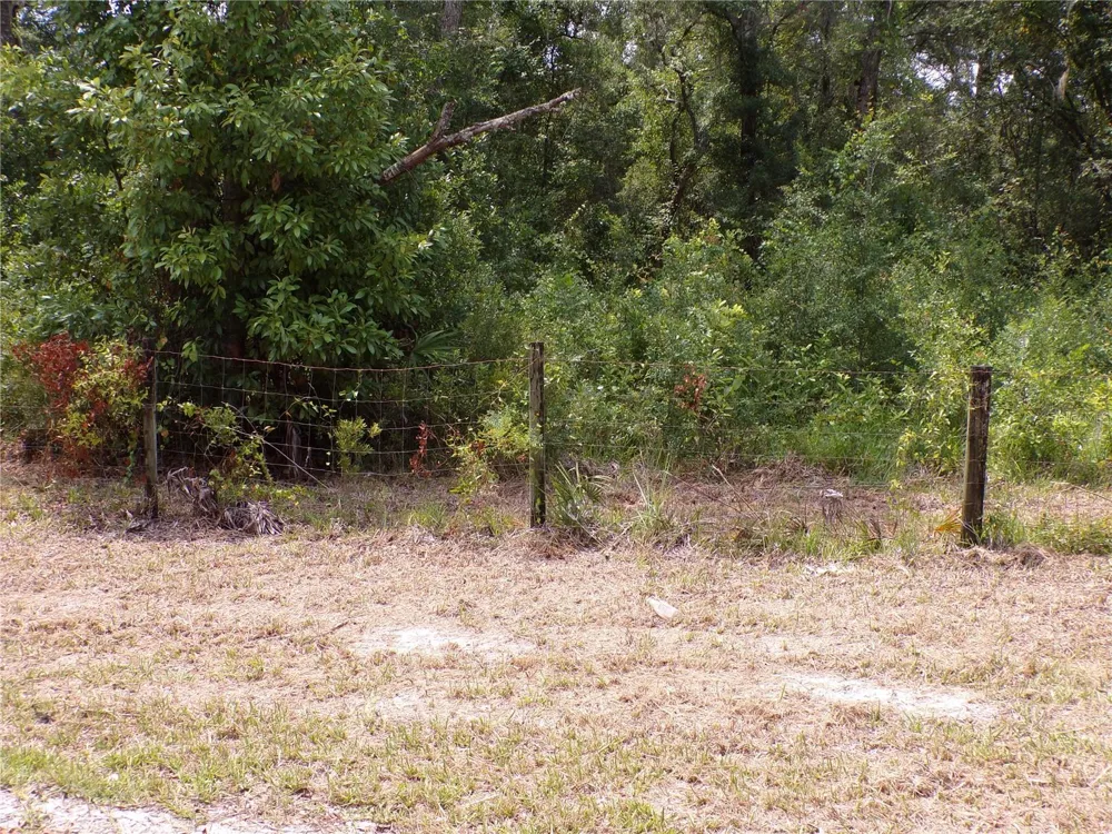 30 NE 478TH AVENUE Old Town, FL 32680