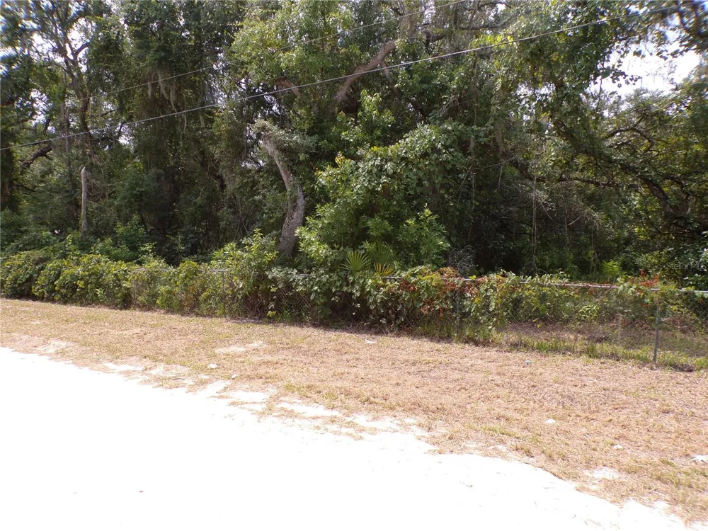 30 NE 478TH AVENUE Old Town, FL 32680