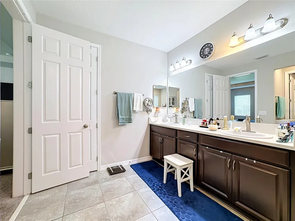 13222 MOSS GRASS WAY Riverview, FL 33579
