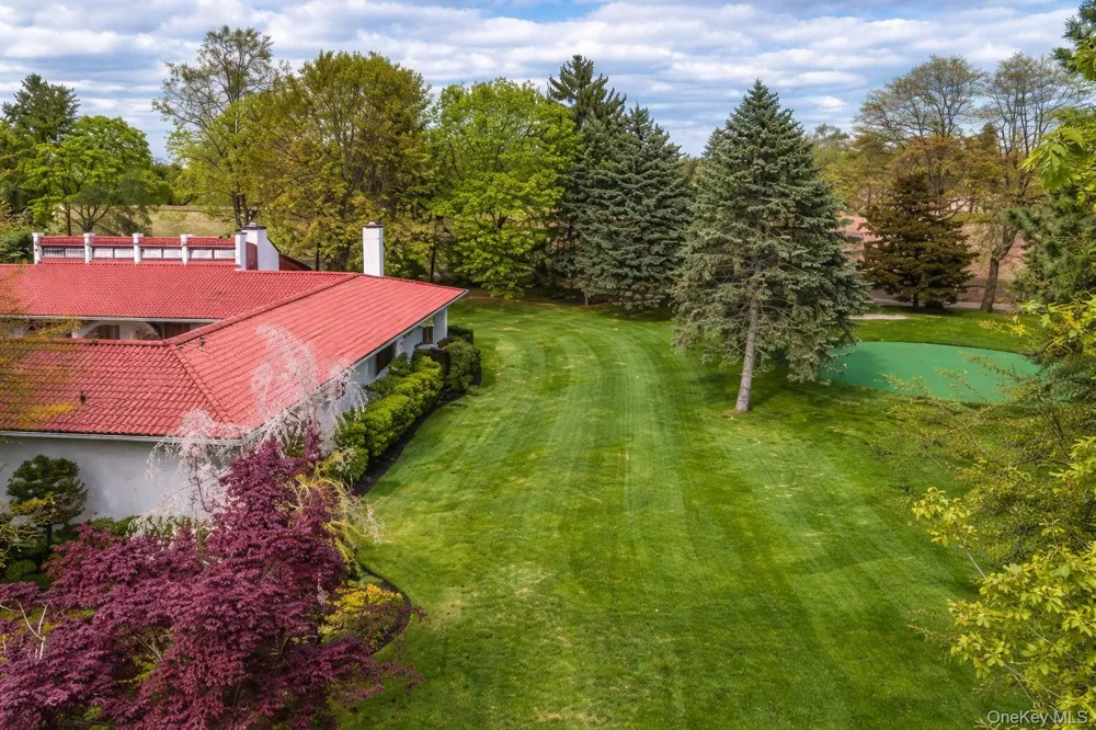 8 Plaka Court Old Brookville, NY 11545